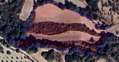 Agricultural Field for Sale in Simou Village