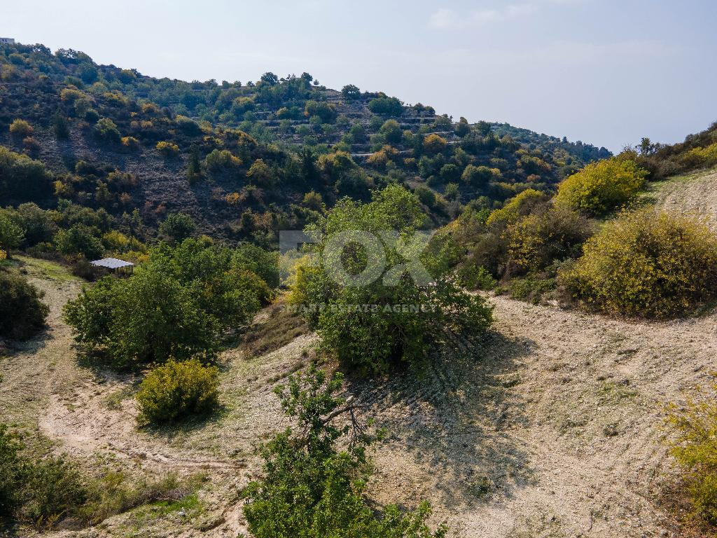 Land for Sale in Koili Community of Paphos, in a Prime Location Near Village Center