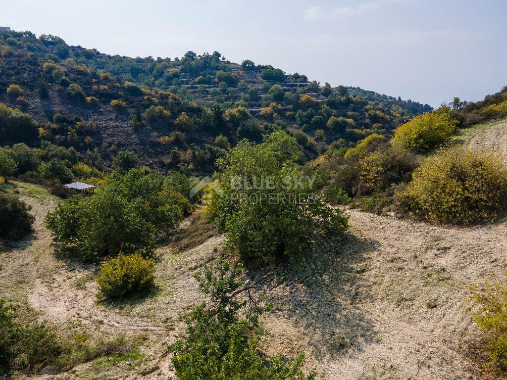 Land for Sale in Koili Community of Paphos, in a Prime Location Near Village Center
