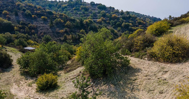 Land for Sale in Koili Community of Paphos, in a Prime Location Near Village Center