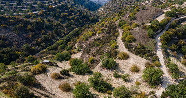 Land for Sale in Koili Community of Paphos, in a Prime Location Near Village Center