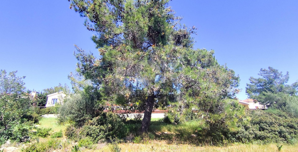 Residential Land for Sale in Souni-Zanakia – Dual-Zone land with Strong Development Potential