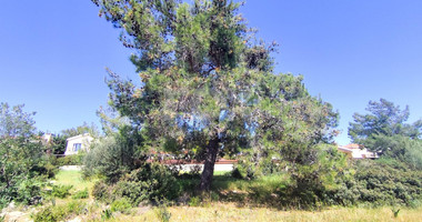 Residential Land for Sale in Souni-Zanakia – Dual-Zone land with Strong Development Potential