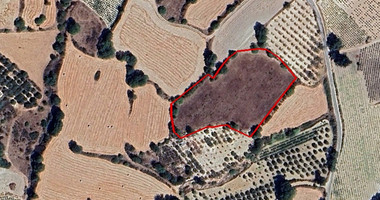 Agricultural Field in Lemona village, in Paphos for sale