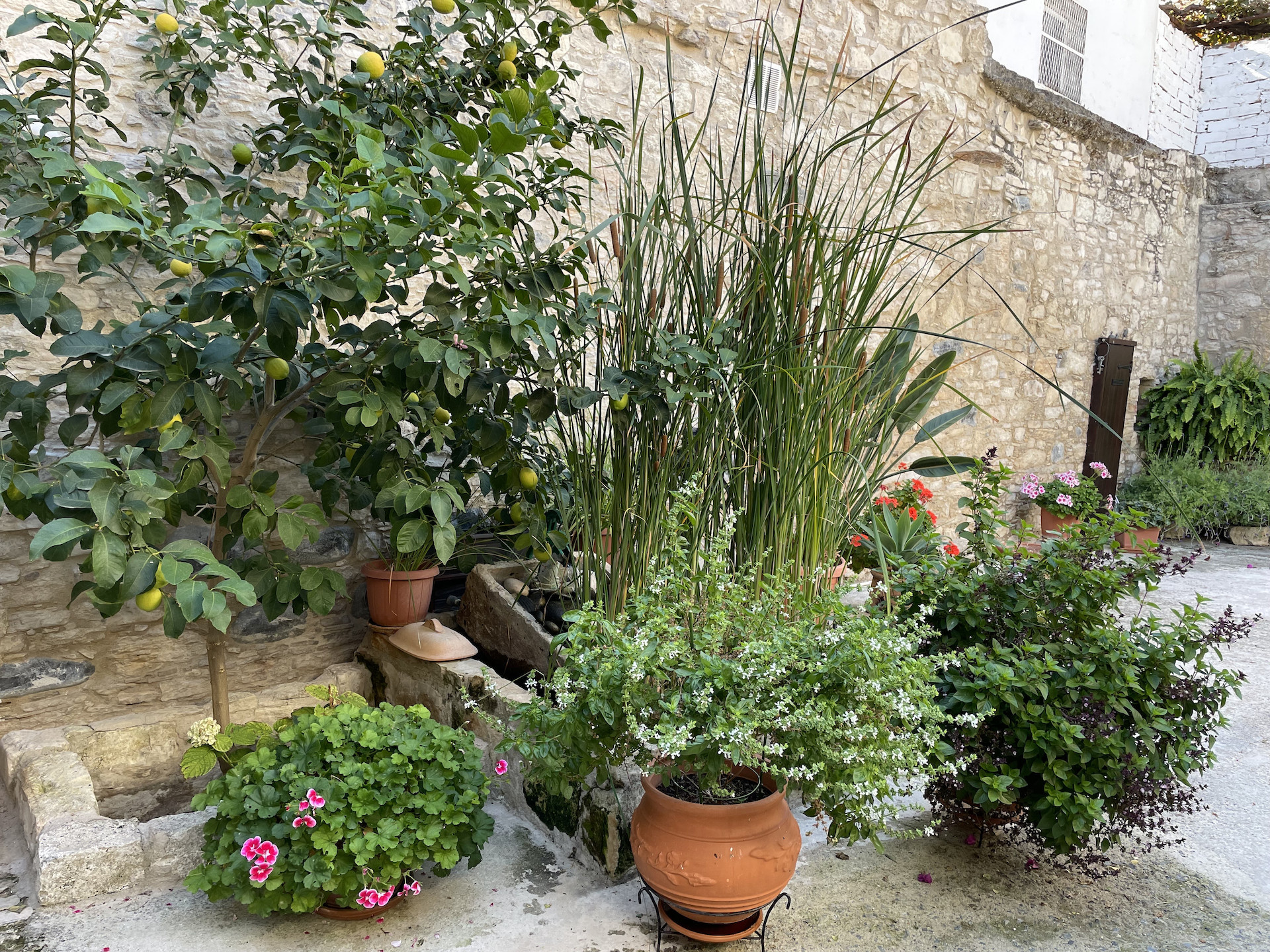 Maison 4 chambres 250 m² Omodos, Chypre