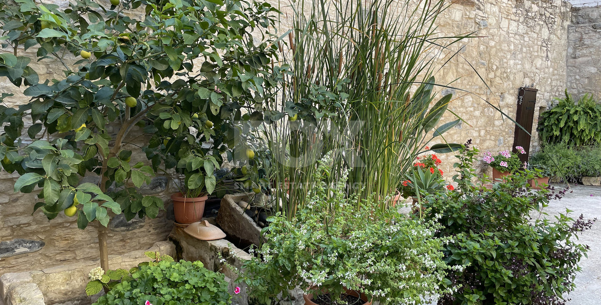 Traditional Four Bedroom Stone House for Sale in Omodos, Limassol | Cyprus Village Property