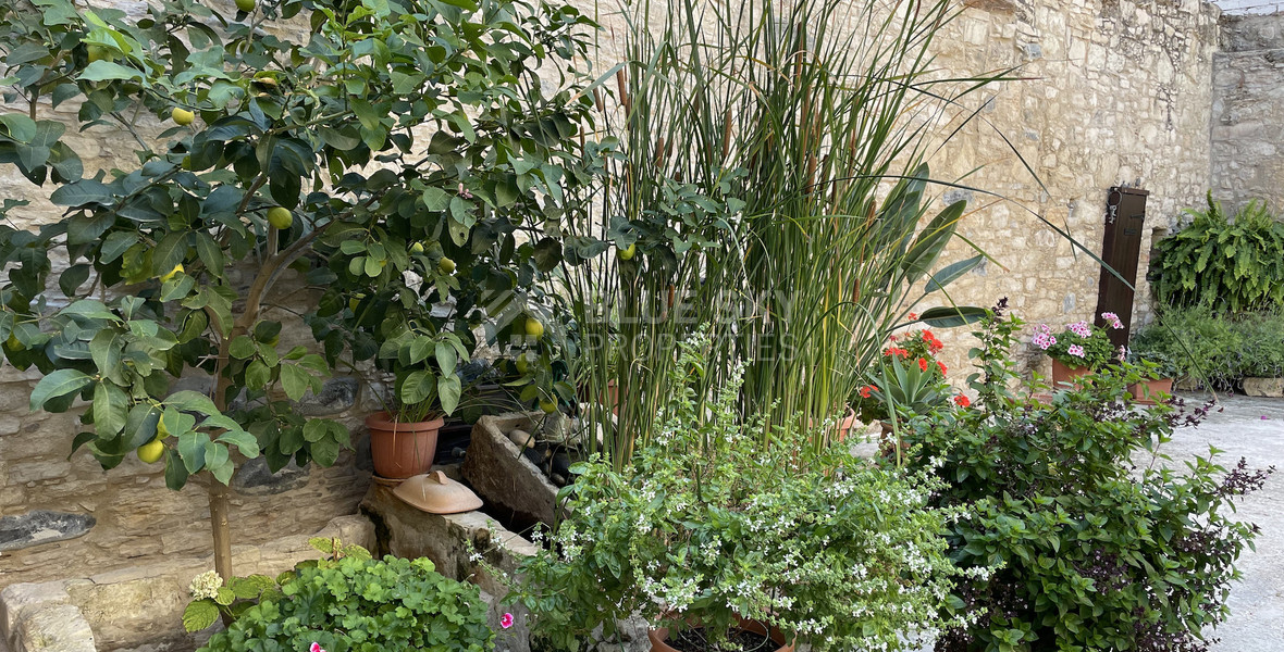 Traditional Four Bedroom Stone House for Sale in Omodos, Limassol | Cyprus Village Property