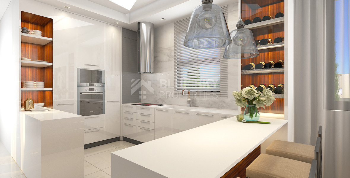 Spacious  five bedroom Villa with Pool and Large Plot for sale in Kissonerga