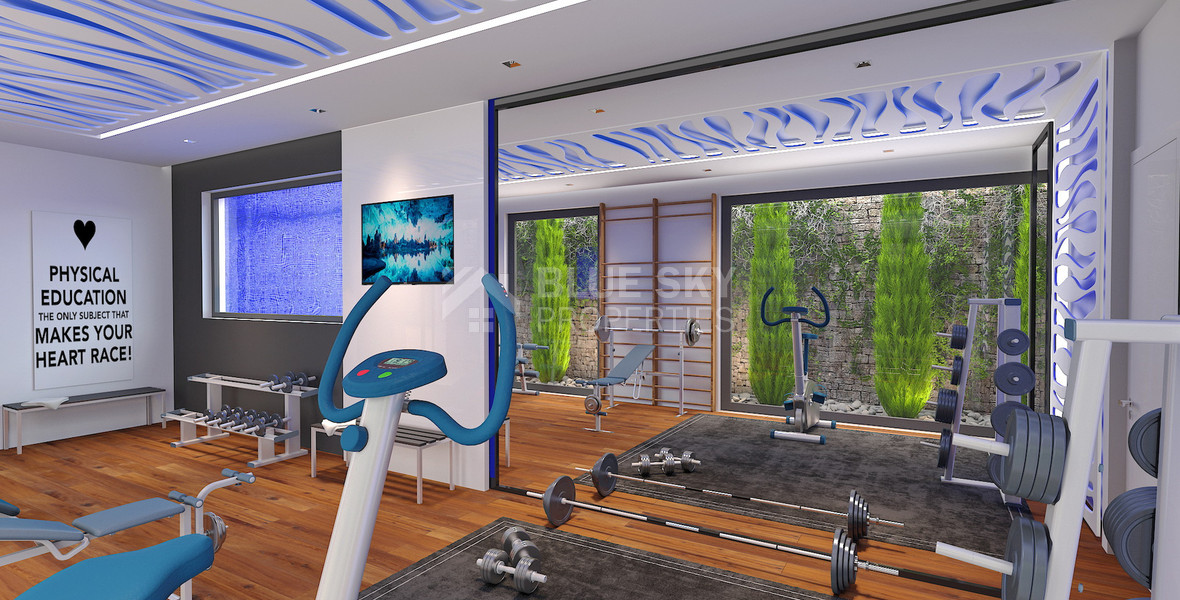 Spacious  five bedroom Villa with Pool and Large Plot for sale in Kissonerga