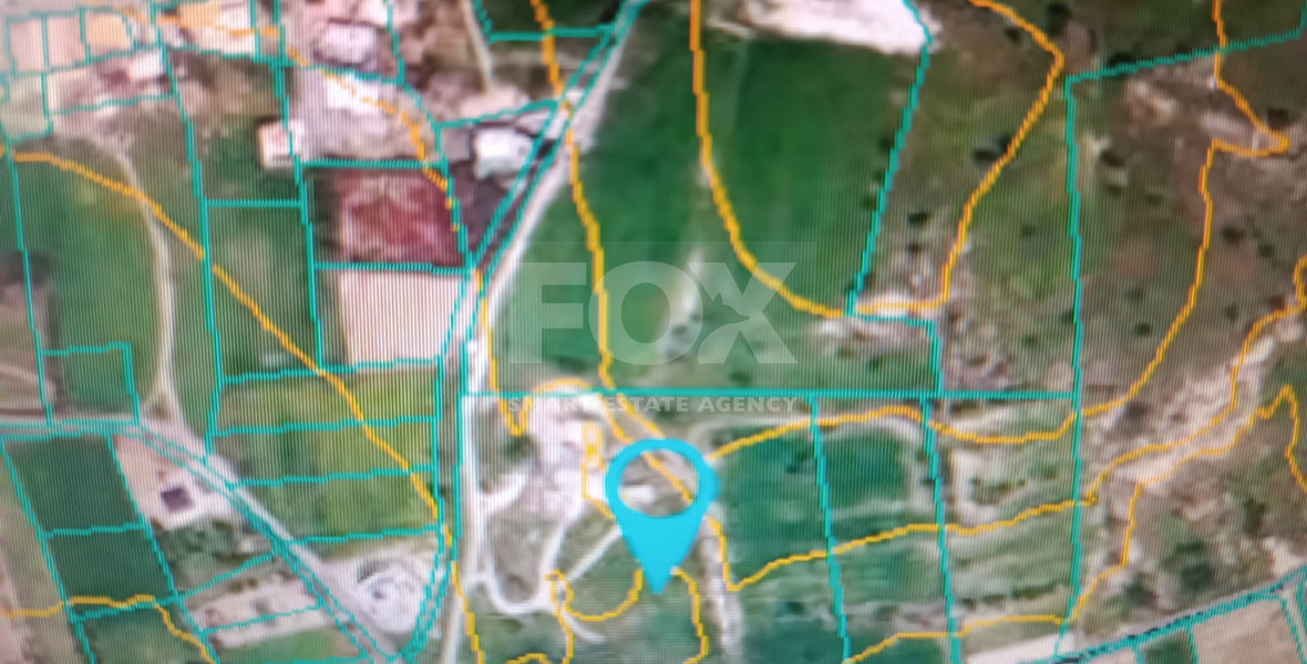 Large  Residential Field for Sale in Kolossi