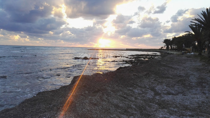 Three bedroom Villa for sale at Chloraka