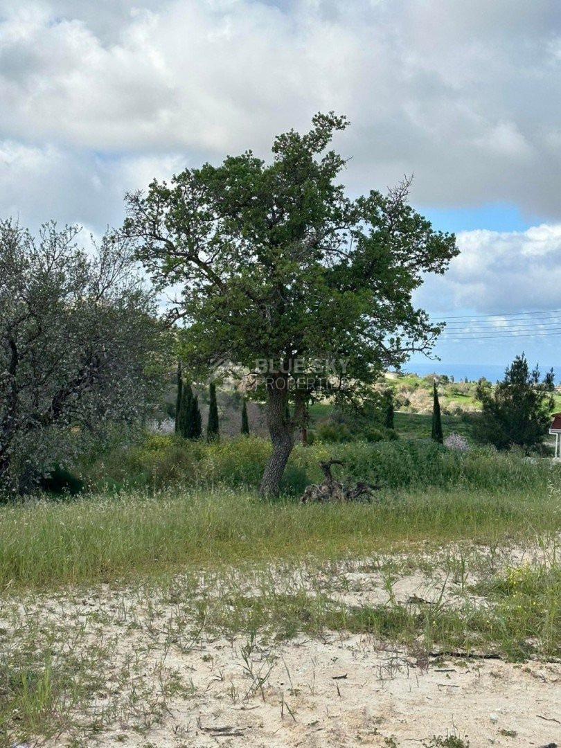 Residential Plot for Sale in Armou, Paphos