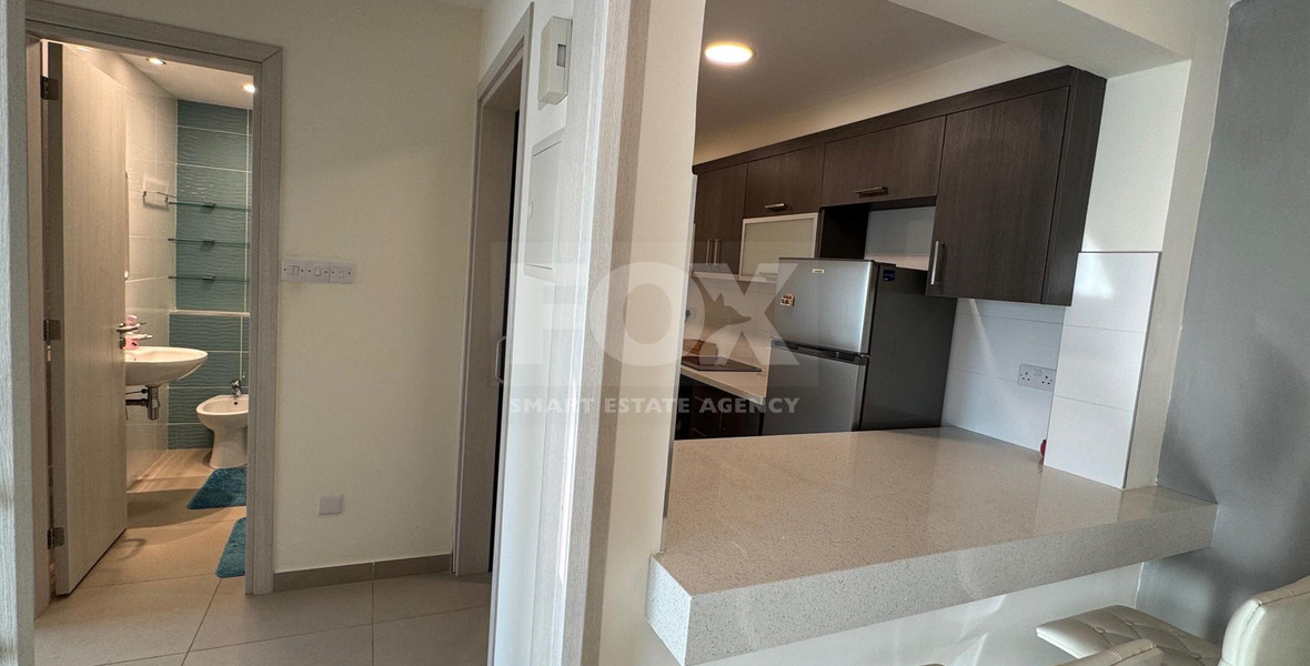 Modern Furnished One Bedroom Apartment in Agia Napa For Rent