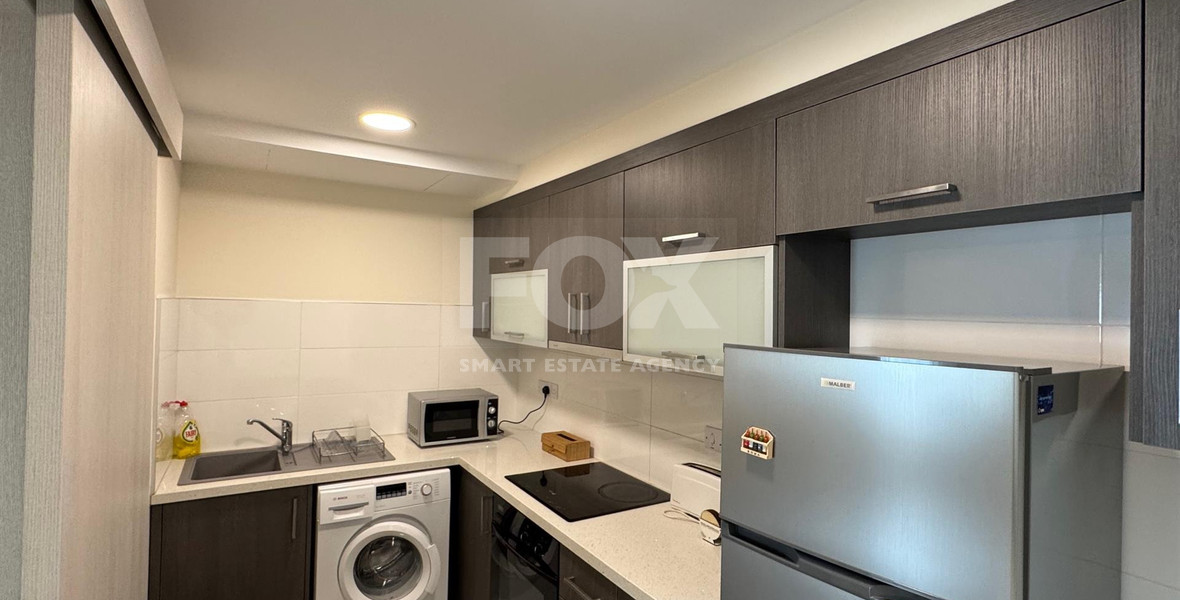 Modern Furnished One Bedroom Apartment in Agia Napa For Rent