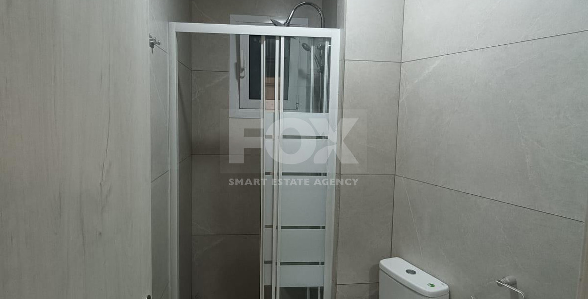 One Bedroom Apartment for Rent in Agios Theodoros