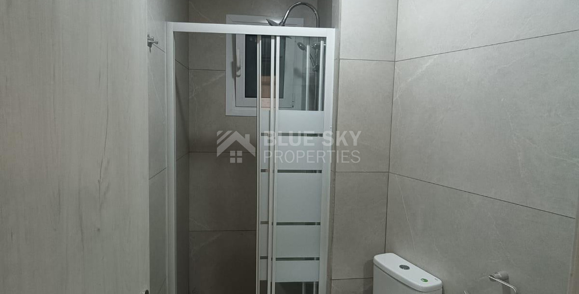 One Bedroom Apartment for Rent in Agios Theodoros