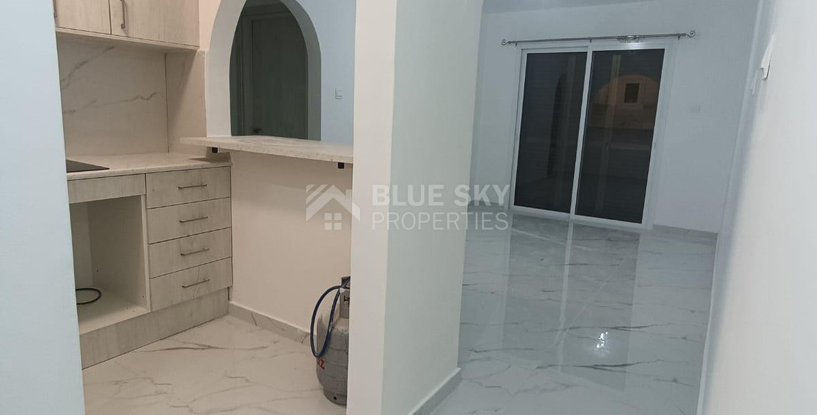 One Bedroom Apartment for Rent in Agios Theodoros