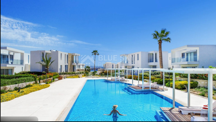 Luxury Four Bedroom Seafront Villa with Private Pool in Coral Bay, Paphos, Cyprus