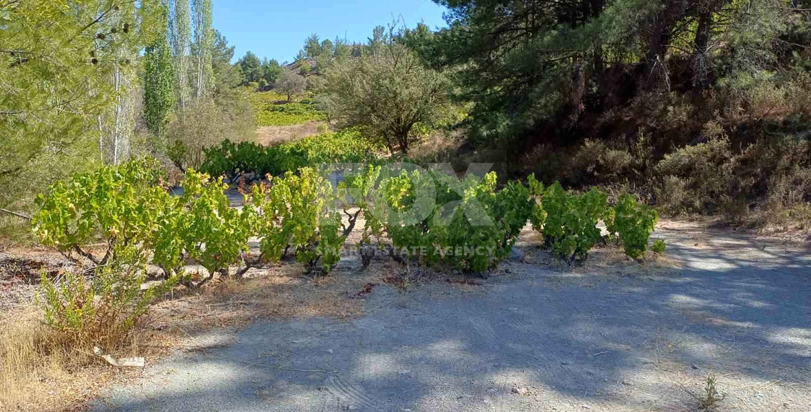 Land for sale in Agridia village, near Observatory , Limassol