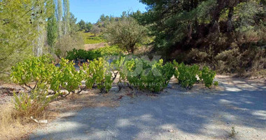 Land for sale in Agridia village, near Observatory , Limassol