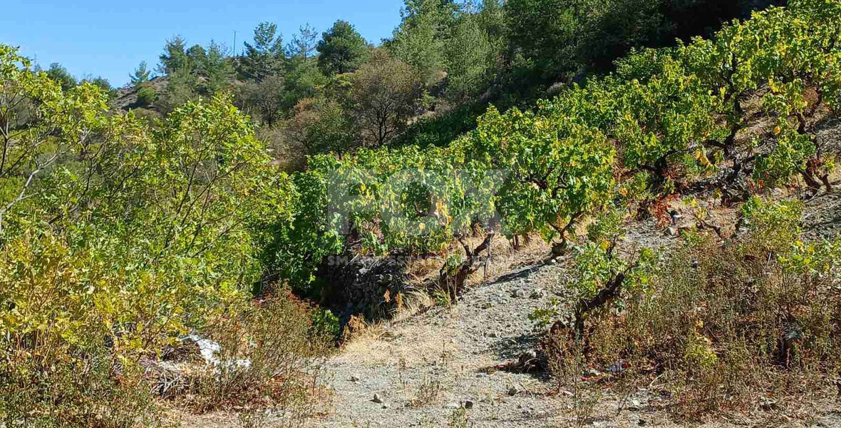 Land for sale in Agridia village, near Observatory , Limassol