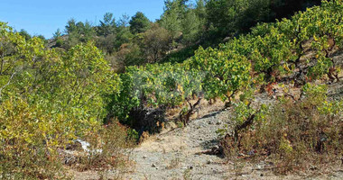 Land for sale in Agridia village, near Observatory , Limassol