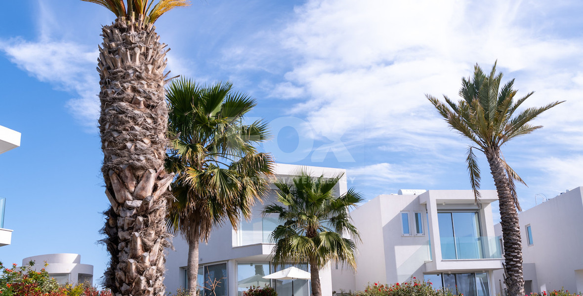 Luxury four bedroom beachfront Villa with Private Pool in Coral Bay , Peyia for sale.