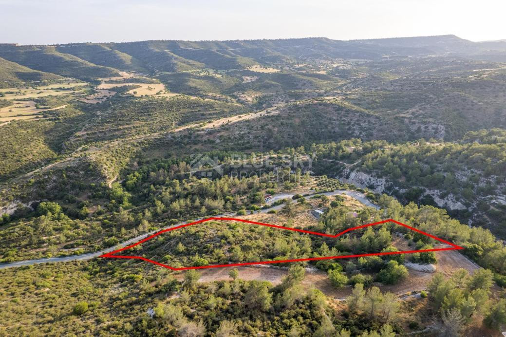 Land of 10,703sqm for sale in Agios Therapon, Limassol