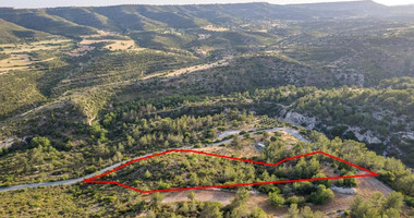 Land of 10,703sqm for sale in Agios Therapon, Limassol