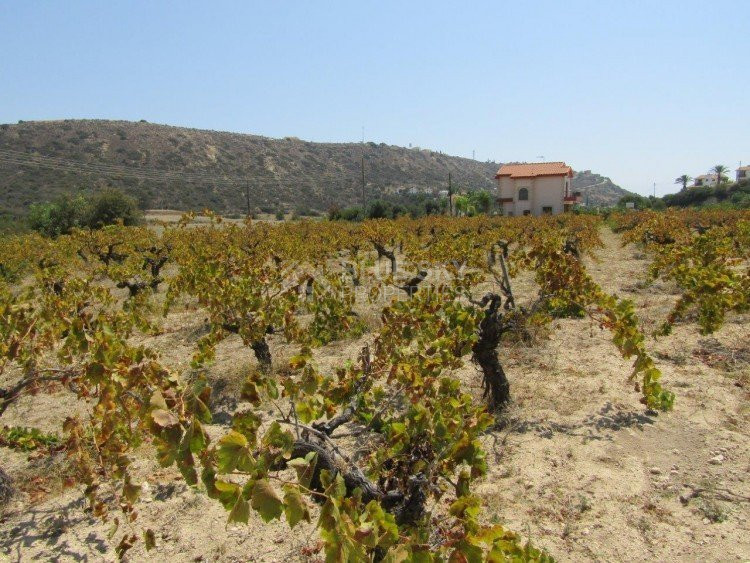 Land For Sale In Pissouri Limassol Cyprus