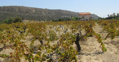 Land For Sale In Pissouri Limassol Cyprus