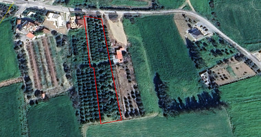 Prime 3,240 m² Residential Land For Sale in Kolossi, Limassol – H2 Zone, Excellent Development Potential