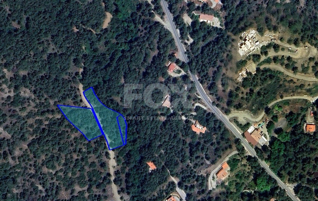 For sale Beautiful land amongst pine forests for house or future investment in Moniatis
