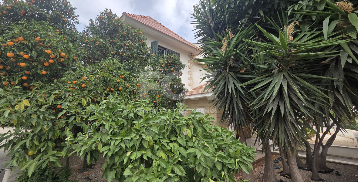 Office for rent in Petrou and Pavlou Limassol