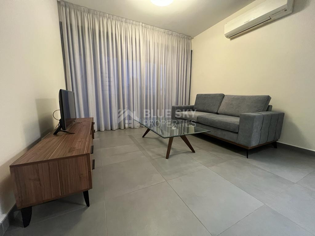 Three Bedroom Penthouse with Roof Garden in Mouttagiaka Area