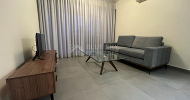 Three Bedroom Penthouse with Roof Garden in Mouttagiaka Area