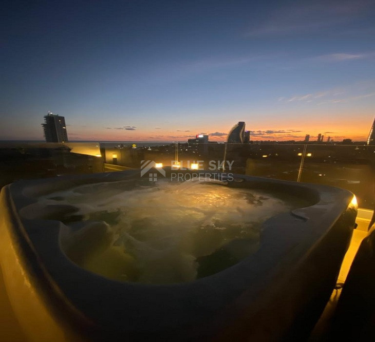 Three Bedroom Penthouse with Roof Garden in Mouttagiaka Area