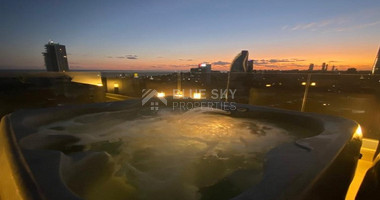 Three Bedroom Penthouse with Roof Garden in Mouttagiaka Area