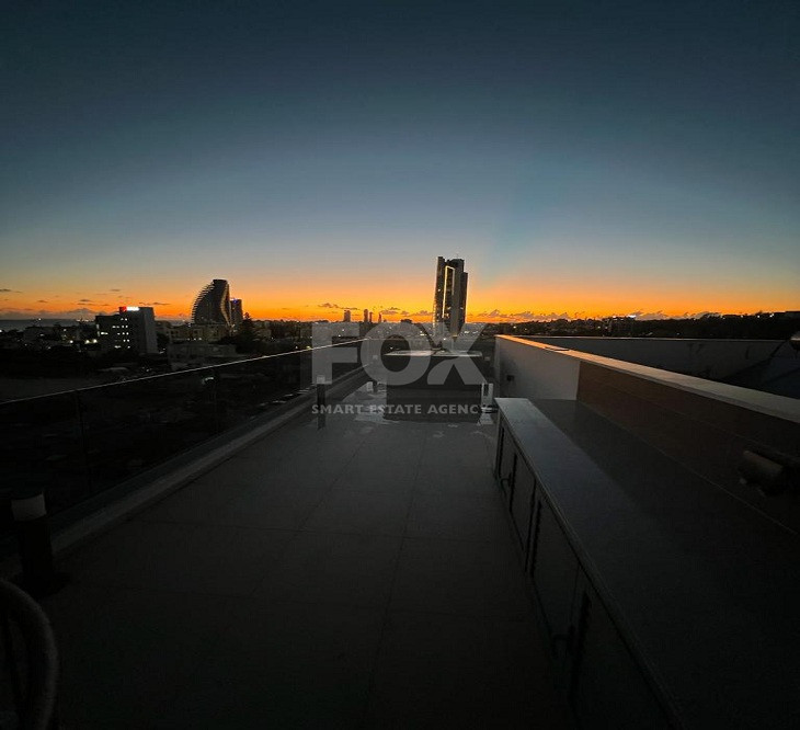 Three Bedroom Penthouse with Roof Garden in Mouttagiaka Area