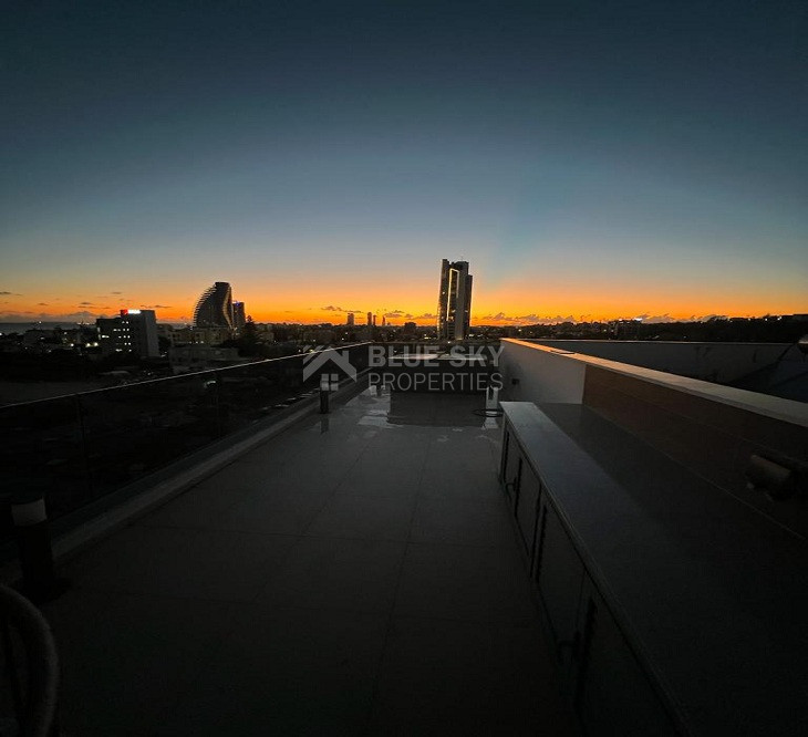 Three Bedroom Penthouse with Roof Garden in Mouttagiaka Area