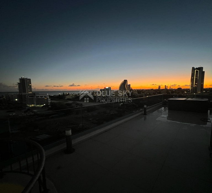 Three Bedroom Penthouse with Roof Garden in Mouttagiaka Area