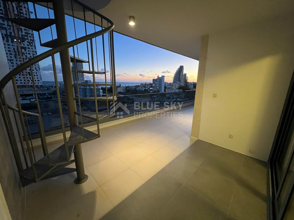 Three Bedroom Penthouse with Roof Garden in Mouttagiaka Area