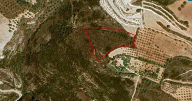 For Sale: Spacious 1500m² Field in Armou | Agricultural Land with Building Rights