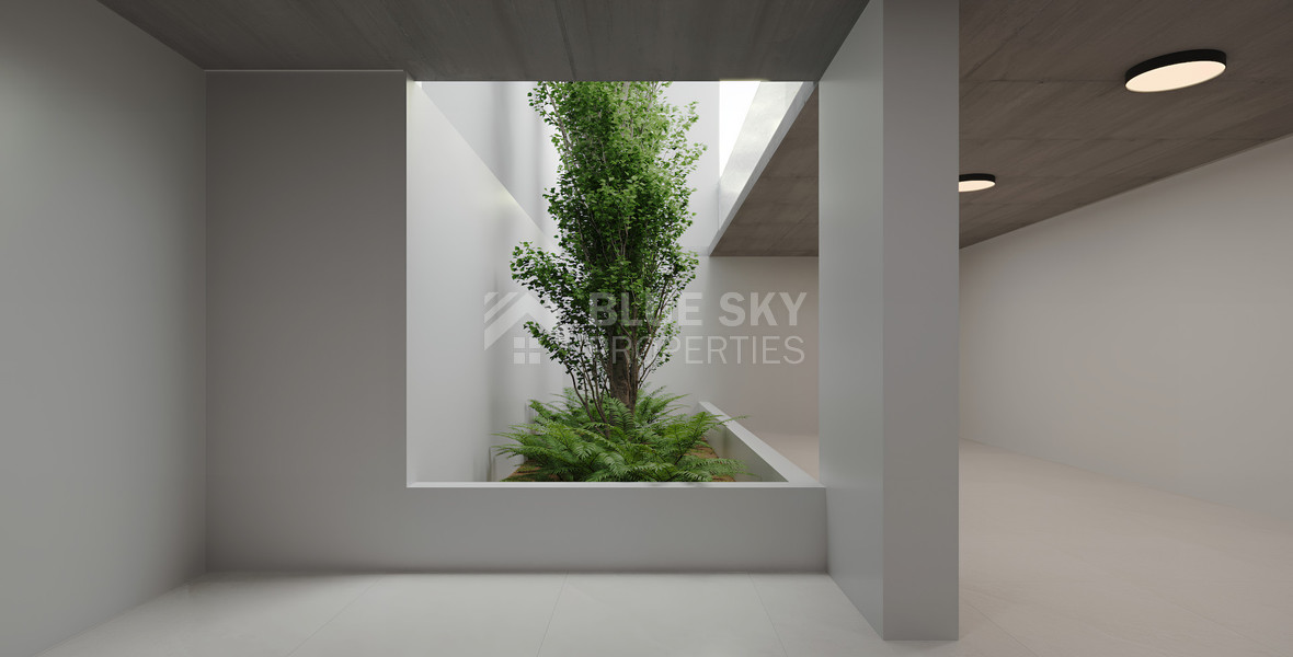 Spacious three Bedroom penthouse with private roof garden for sale in Tsiflikoudia