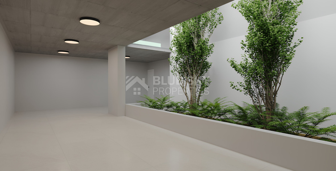 Spacious three Bedroom penthouse with private roof garden for sale in Tsiflikoudia