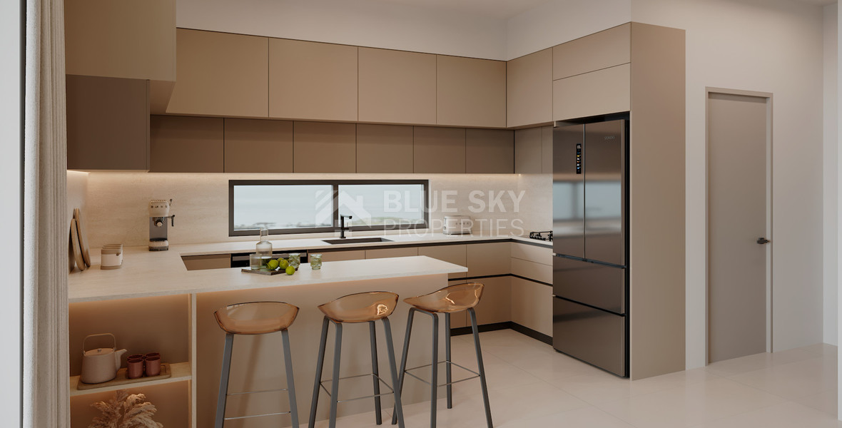 Spacious three Bedroom penthouse with private roof garden for sale in Tsiflikoudia