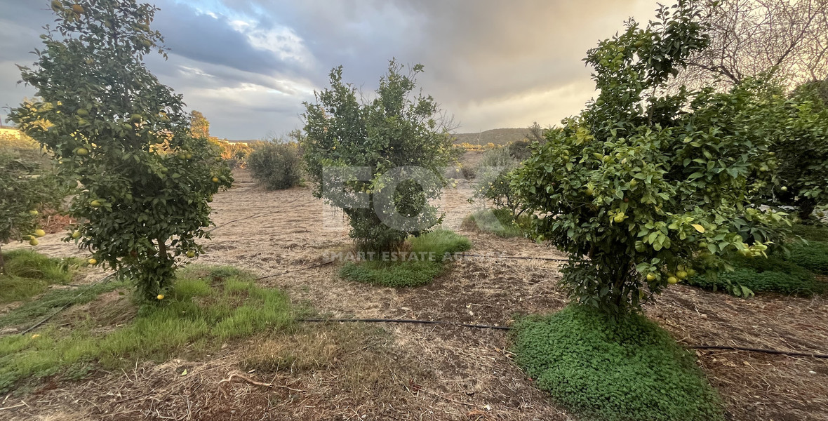 For Rent Beautiful Two Bedroom House with Garden in Peaceful Pyrgos Lemesou