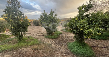 For Rent Beautiful Two Bedroom House with Garden in Peaceful Pyrgos Lemesou