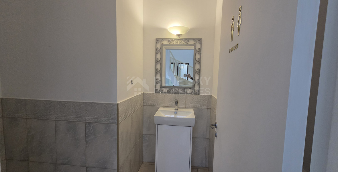 Luxury Seven Plus One Bedroom Detached House  For Rent in Agios Athanasios Limassol