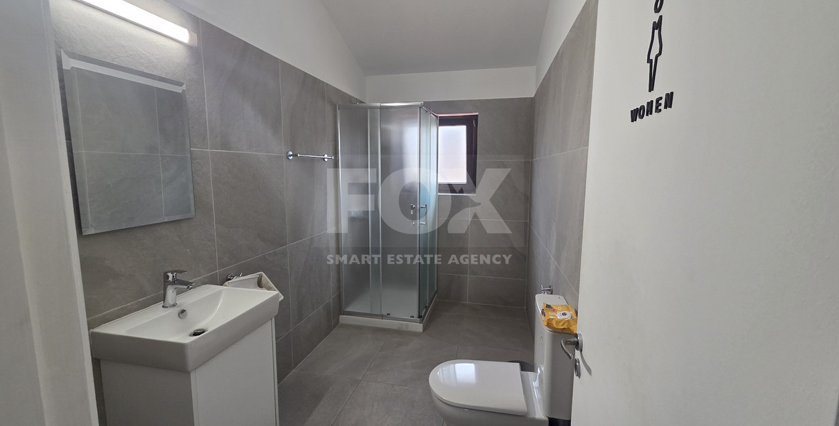 Luxury Seven Plus One Bedroom Detached House  For Rent in Agios Athanasios Limassol
